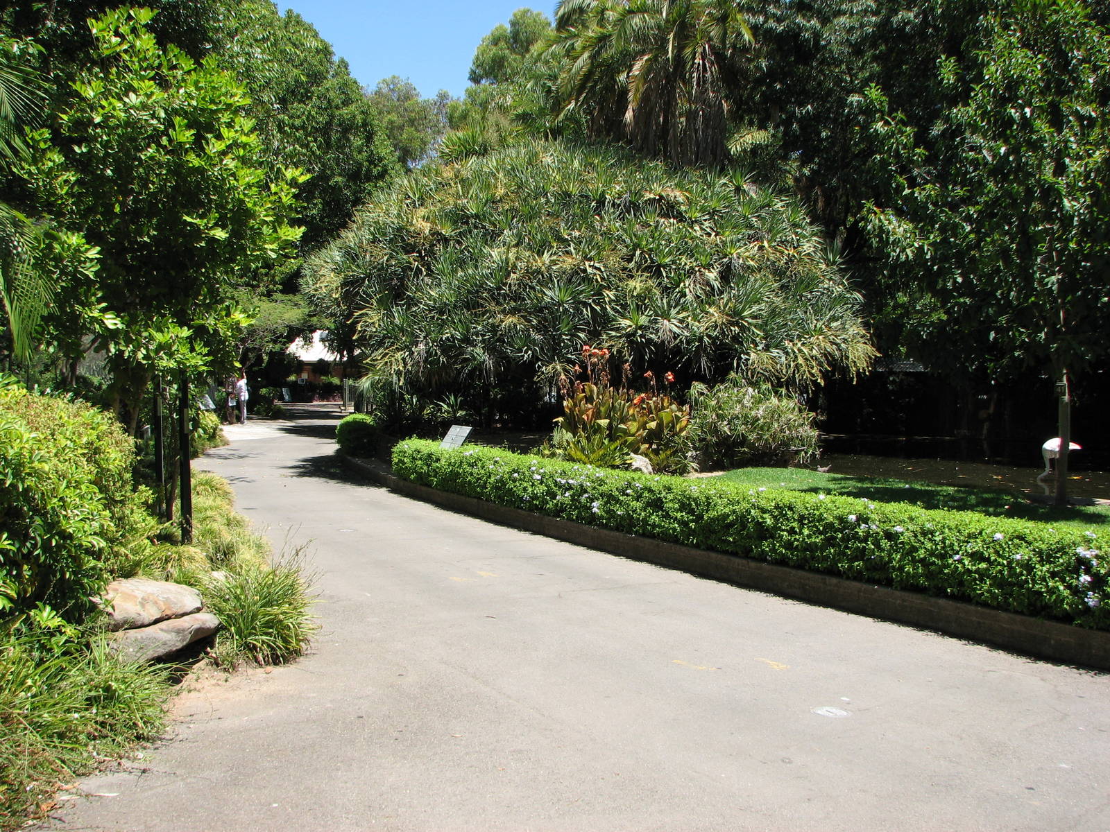 Adelaide Zoo 2008 - Pathway and Flamingo Pond