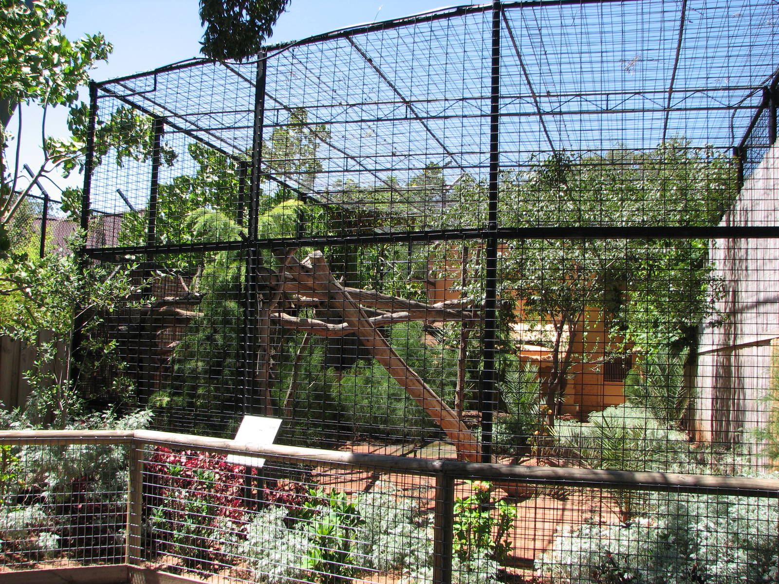 Adelaide Zoo 2008 - Persian Leopard enclosure