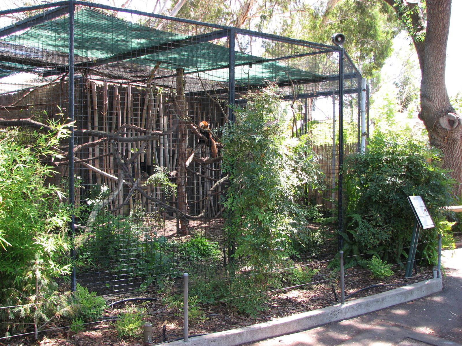 Adelaide Zoo 2008 - Red Panda enclosure