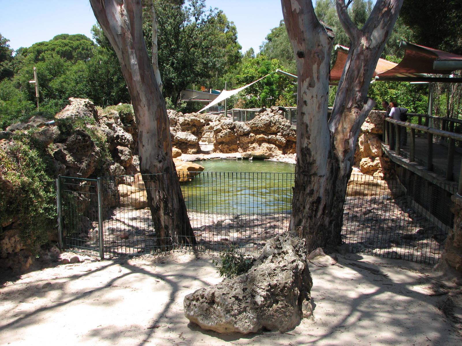Adelaide Zoo 2008 - Side view of the Australian Sea Lion exhibit