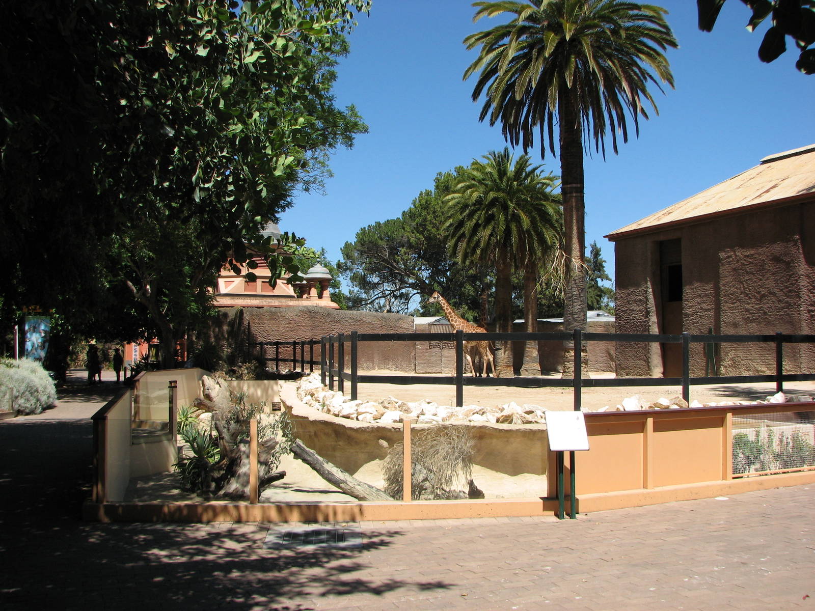 Adelaide Zoo 2008 - Side view of the Giraffe exhibit