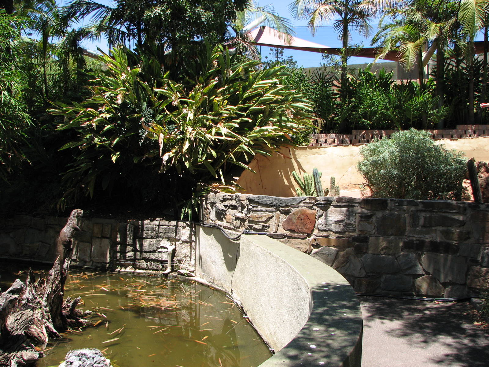 Adelaide Zoo 2008 - Small carnivore exhibits