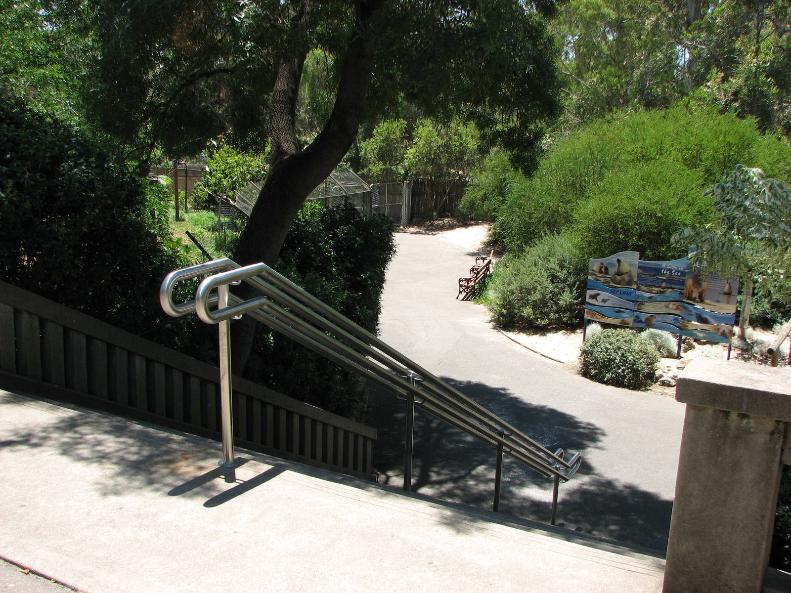 Adelaide Zoo 2008 - Stairway leading down to the Wild Dog and Sea Lion exhi