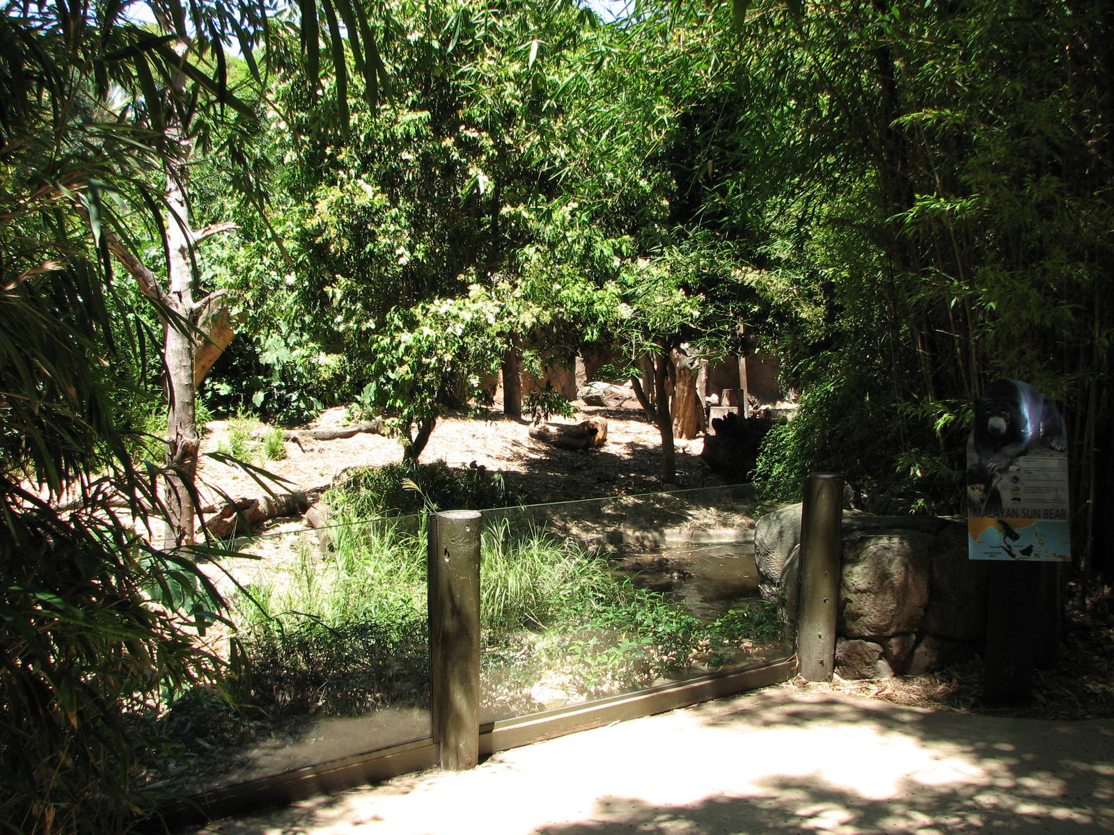 Adelaide Zoo 2008 - View into the Malayan Sun Bear exhibit