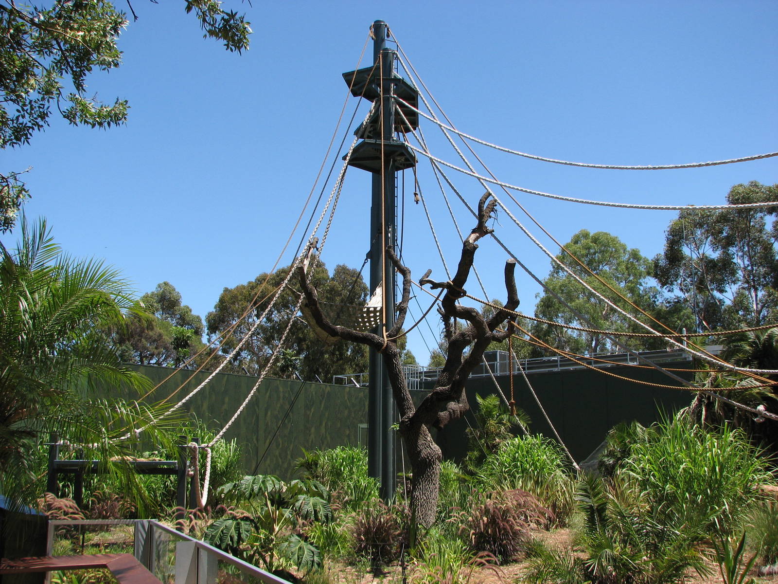 Adelaide Zoo 2008 - View into the Sumatran Orangutan exhibit
