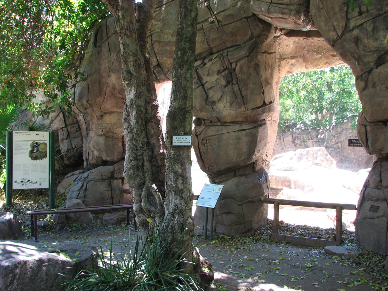 Adelaide Zoo 2008 - Viewing window into the Hamadryas Baboon exhibit