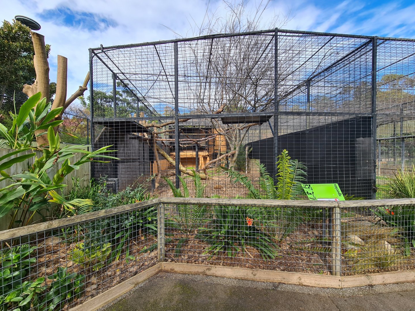 Adelaide Zoo old Leopard exhibit (it has been empty on/off for the last 10 years)