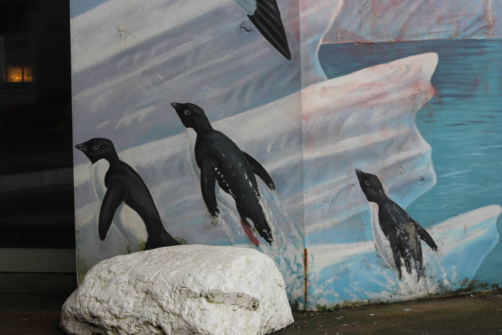 Adelie penguin graphic