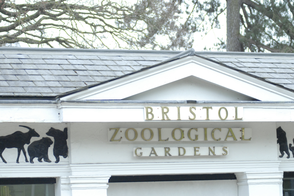 "Adieu, Clifton Zoo !" - Bristol Zoo 2022