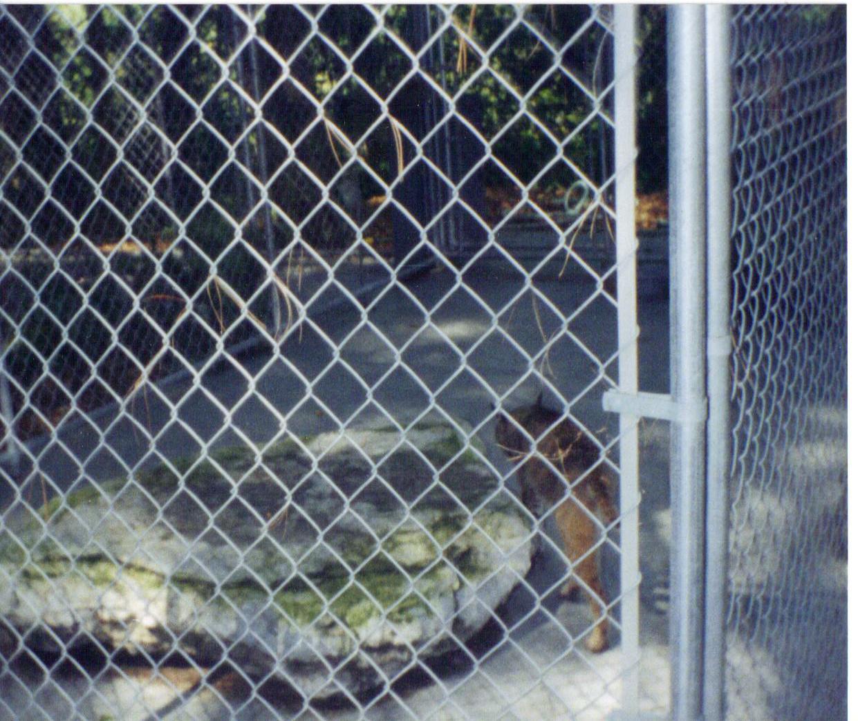 Adirondack animal land 90s