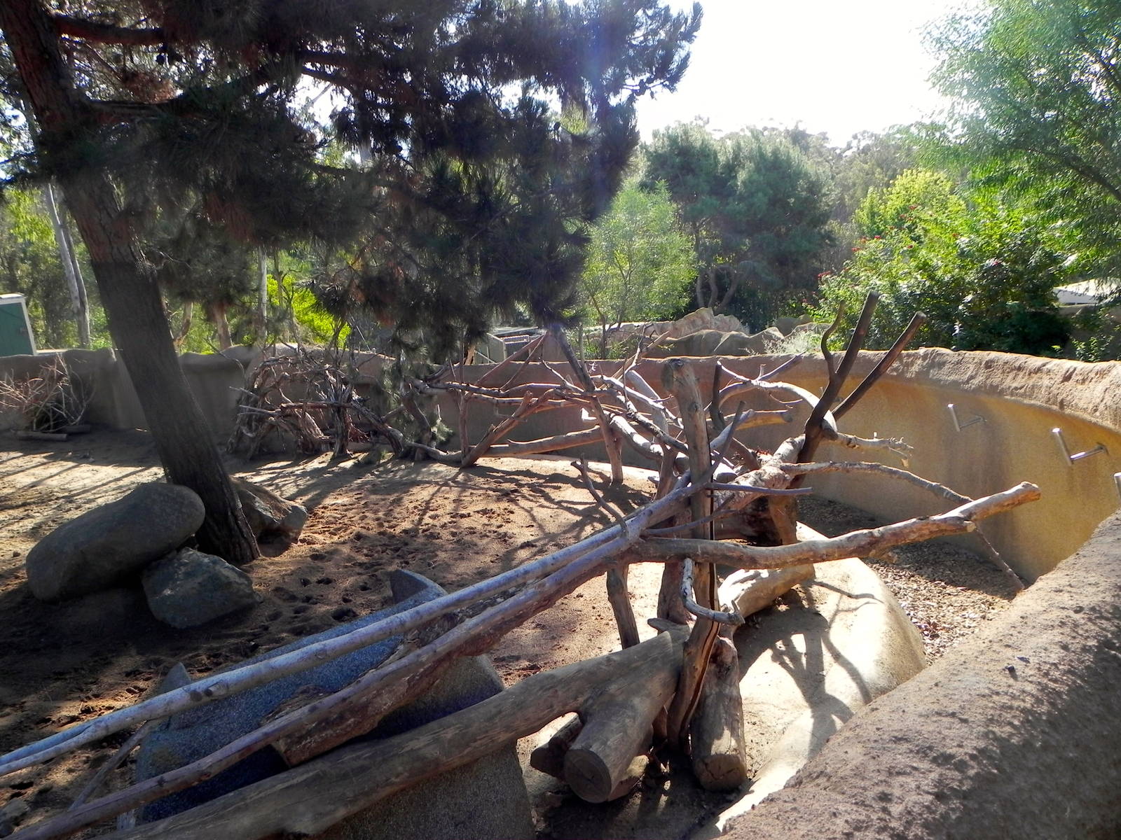 Adjustments to the walls of the ungulate exhibits