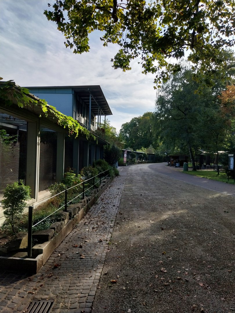 Administration building - Aviaries