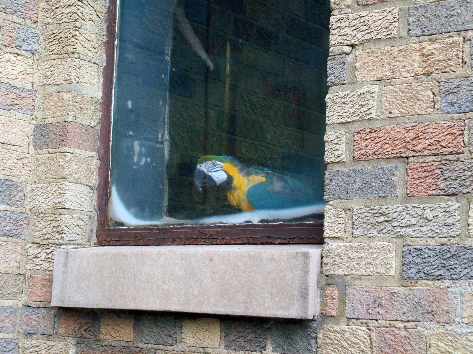 Admiring the Outside World