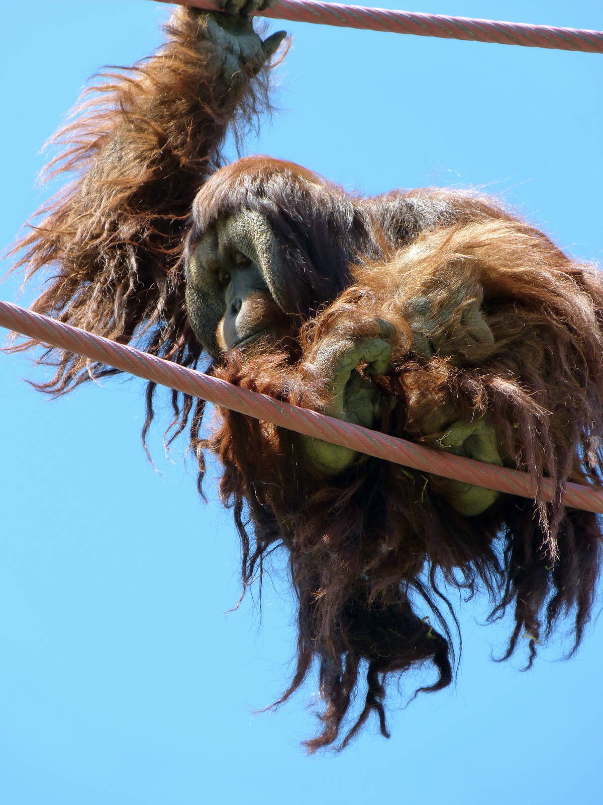 Admiring the Viewers