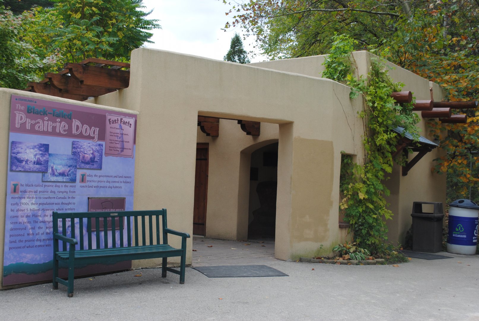 Adobe Pavilion (Black-footed Ferret and Burrowing Owl)