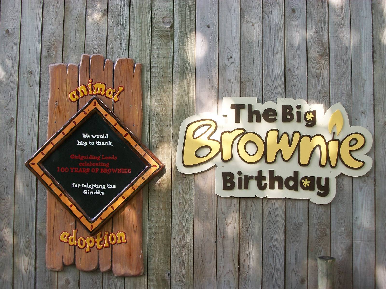 Adoption signage, 4th August 2014