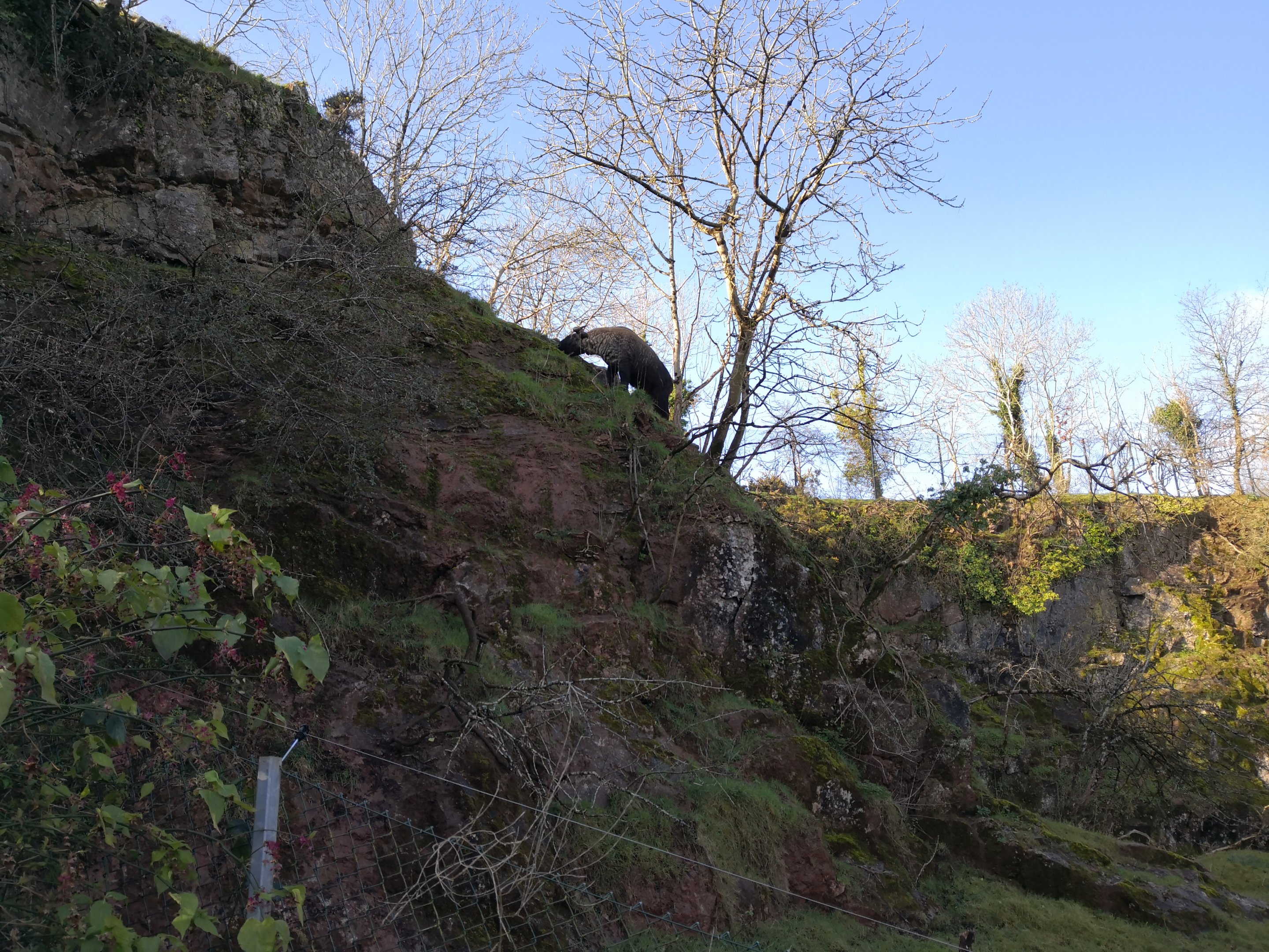 Adrian is getting more adventurous