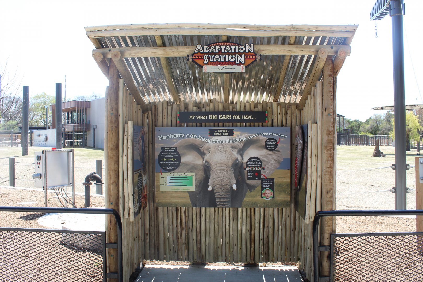 Adventure Africa - Adaptation Station (Elephant)