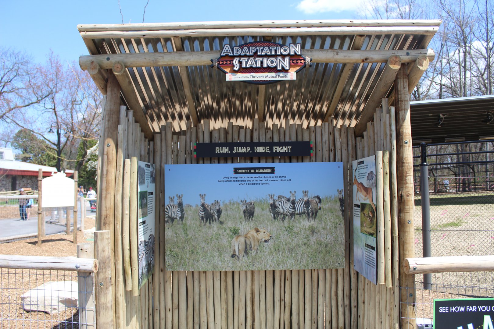 Adventure Africa - Adaption Station (Impala & Zebra)