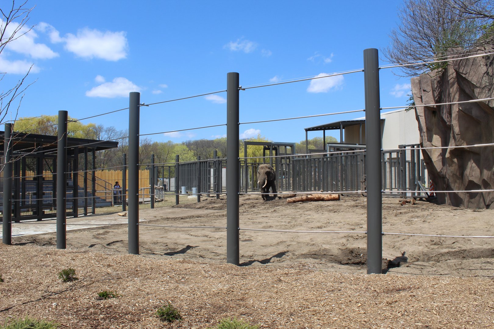 Adventure Africa - African Elephant Demonstration Yard