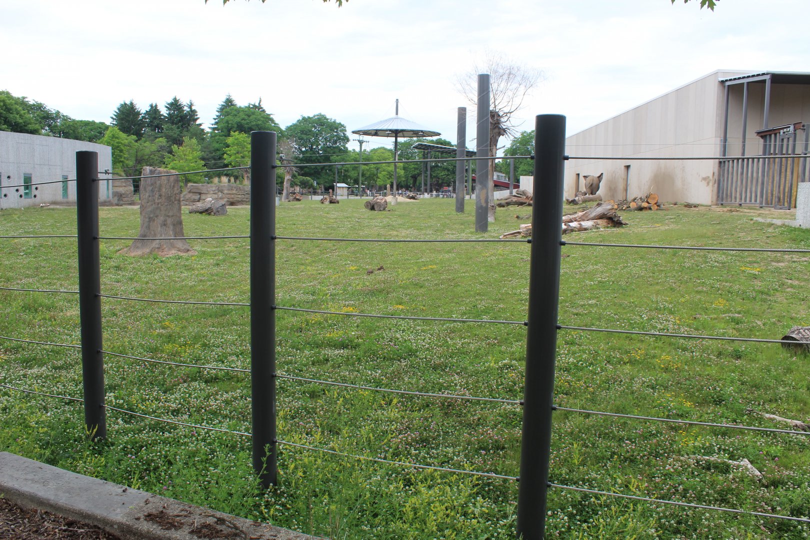 Adventure Africa - African Elephant Exhibit