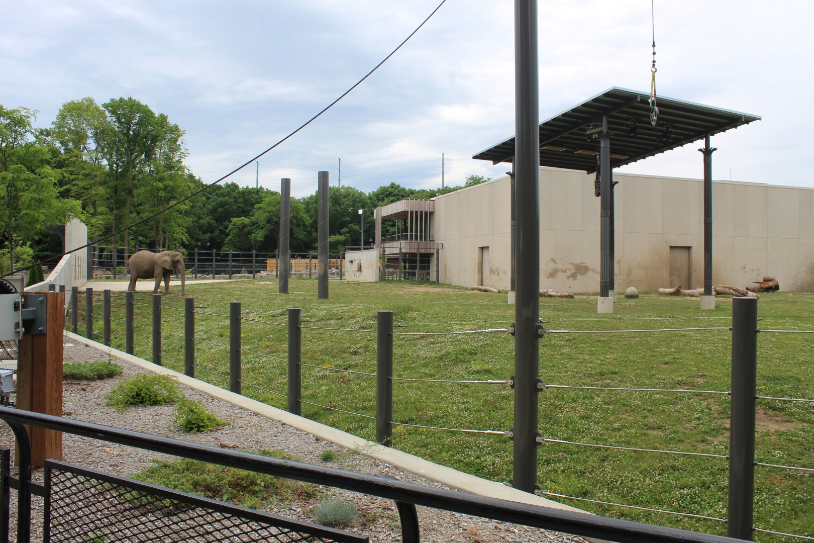 Adventure Africa - African Elephant Exhibit