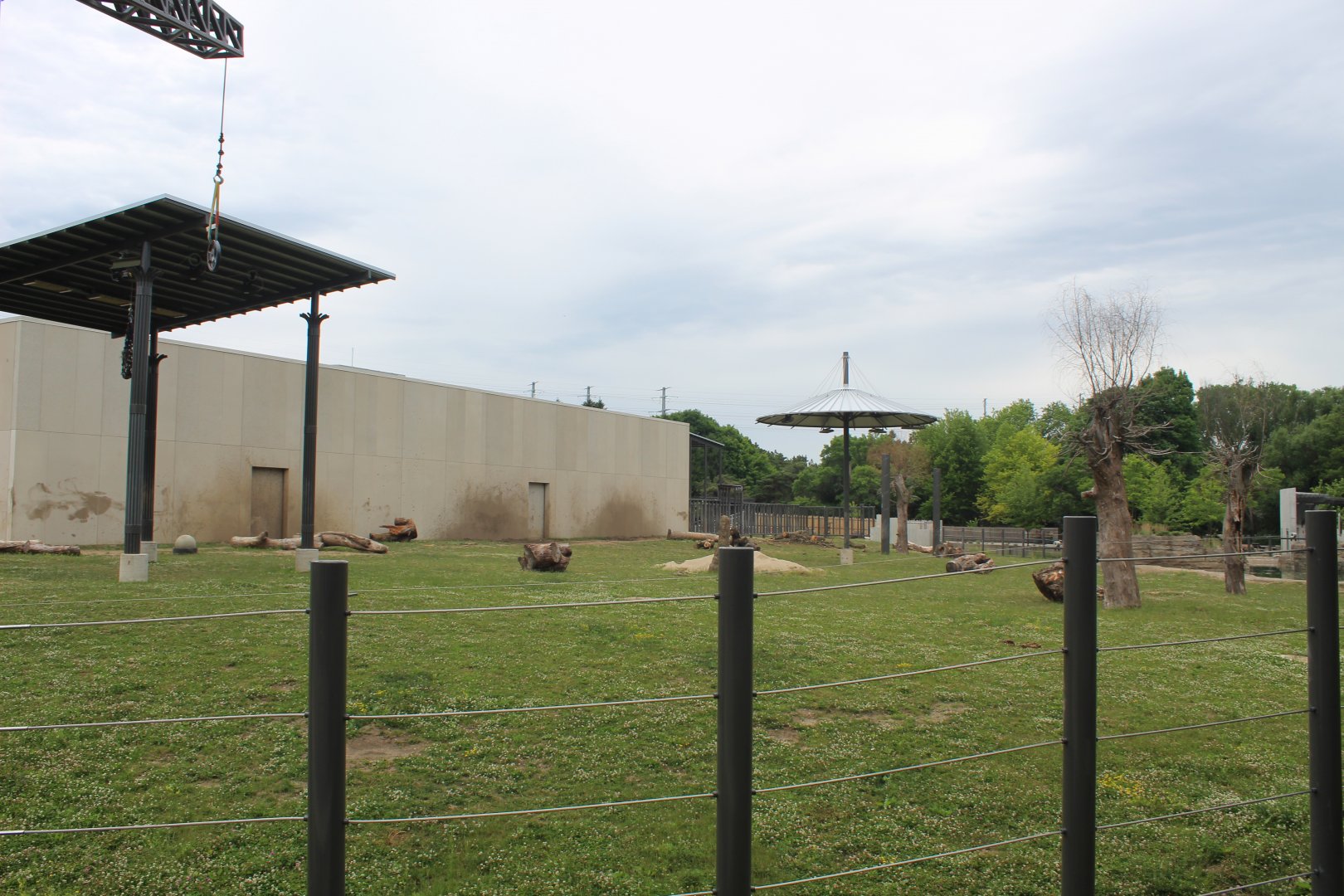 Adventure Africa - African Elephant Exhibit