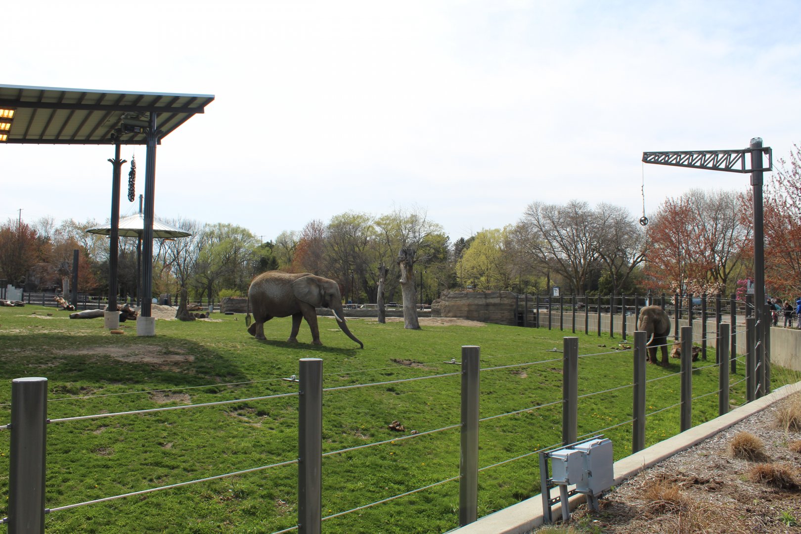 Adventure Africa - African Elephant Exhibit