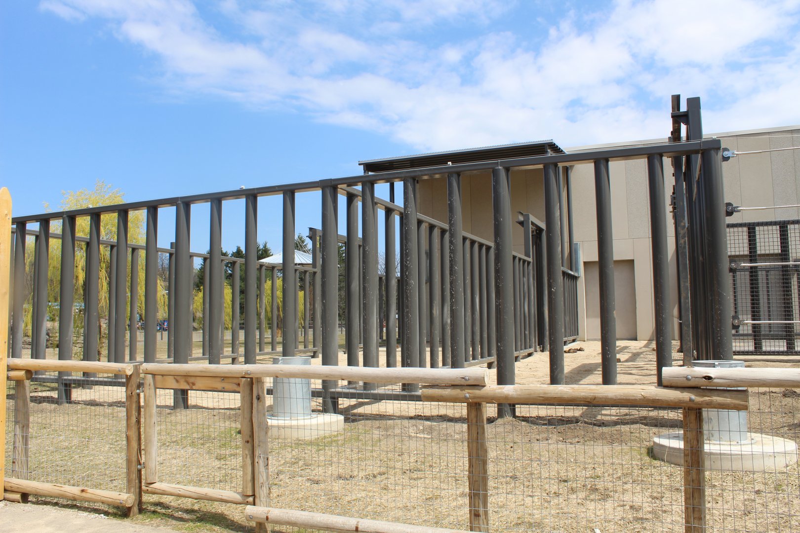 Adventure Africa - African Elephant Side Yard(s)