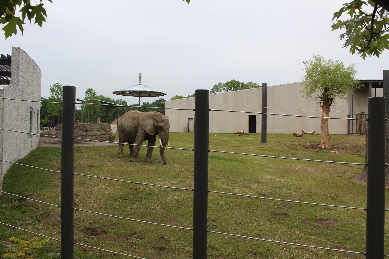 Adventure Africa - African Elephant Yard