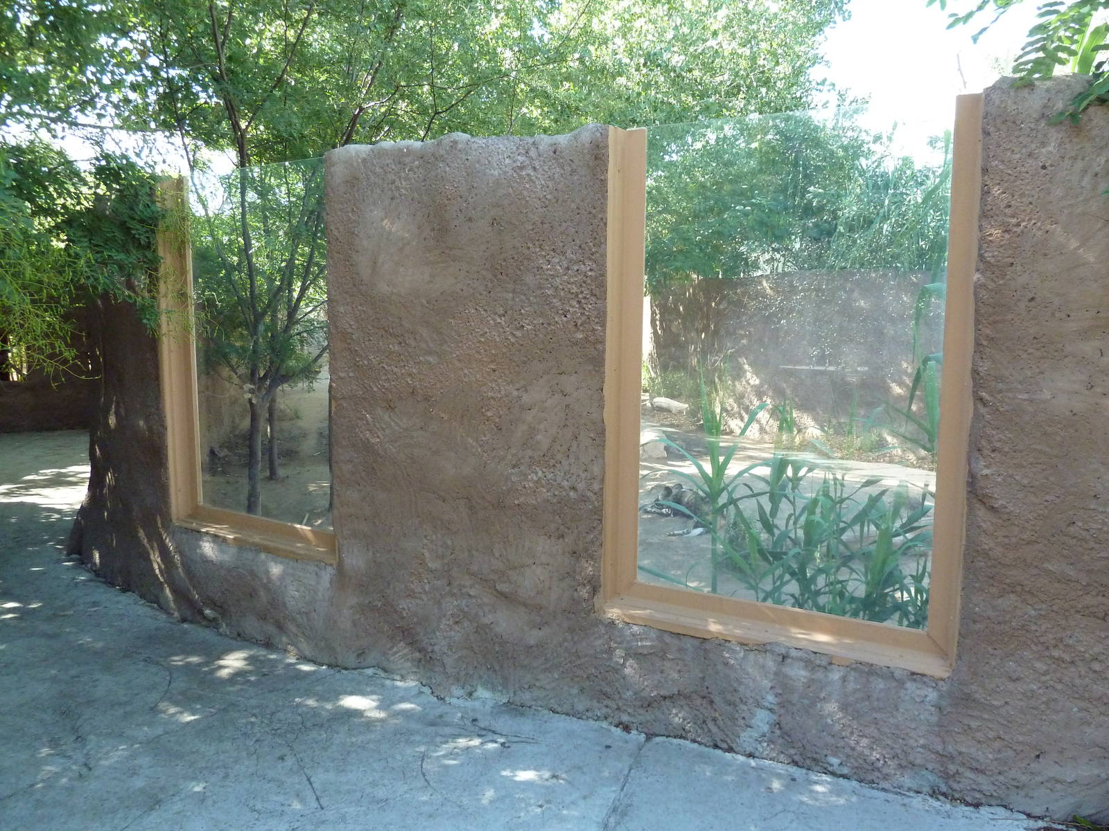 Adventure Africa - African Wild Dog Exhibit