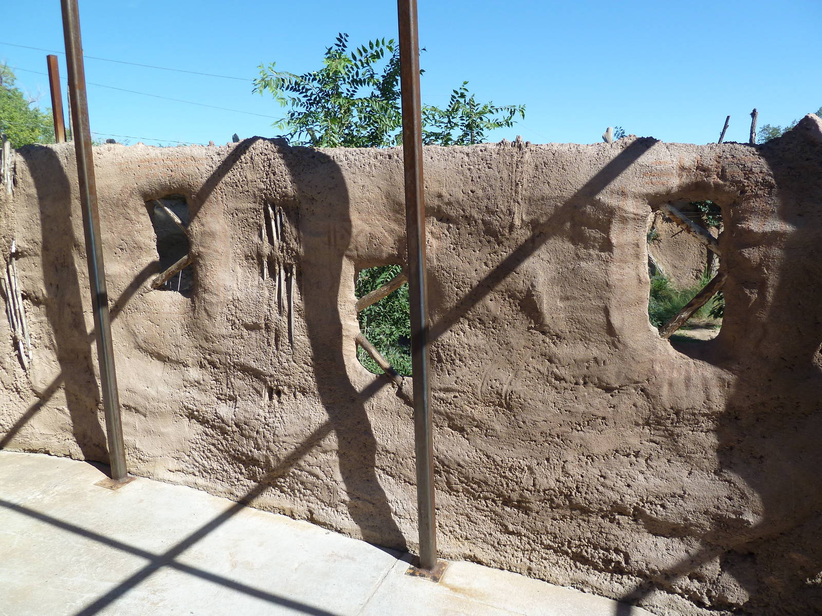 Adventure Africa - Cheetah Exhibit Viewing Area