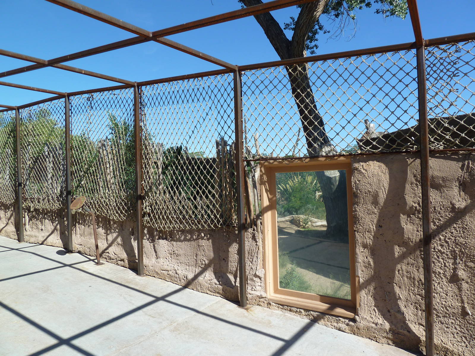 Adventure Africa - Cheetah Exhibit