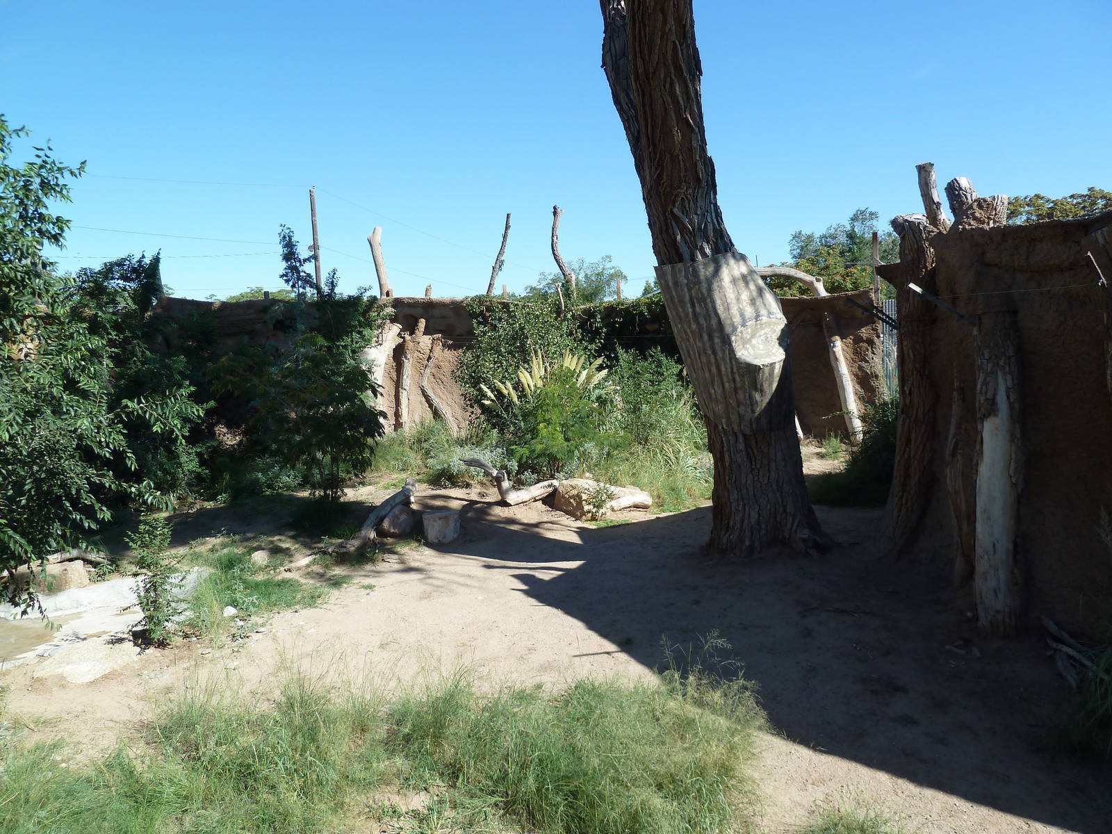 Adventure Africa - Cheetah Exhibit