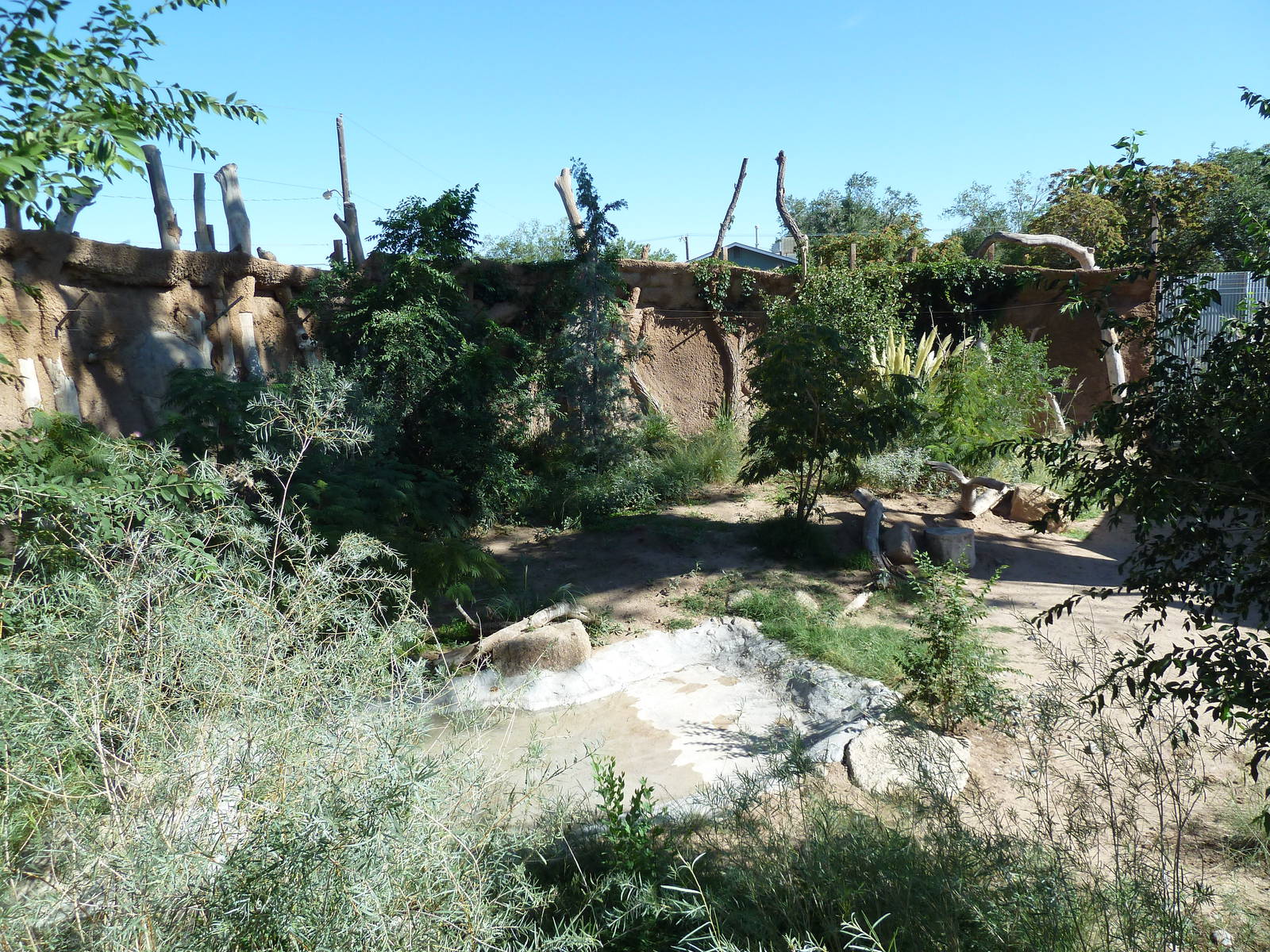 Adventure Africa - Cheetah Exhibit