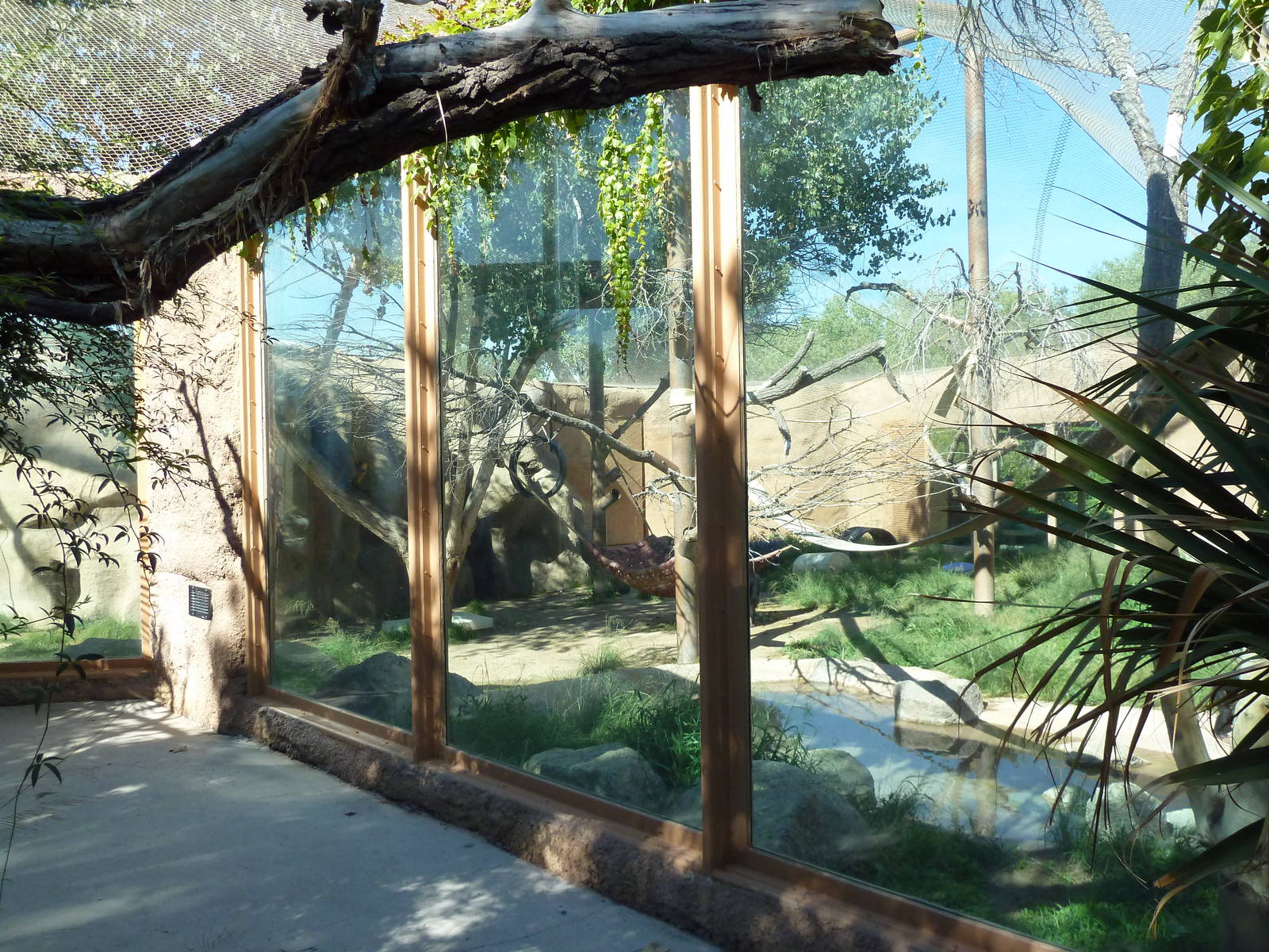 Adventure Africa - Chimpanzee Exhibit