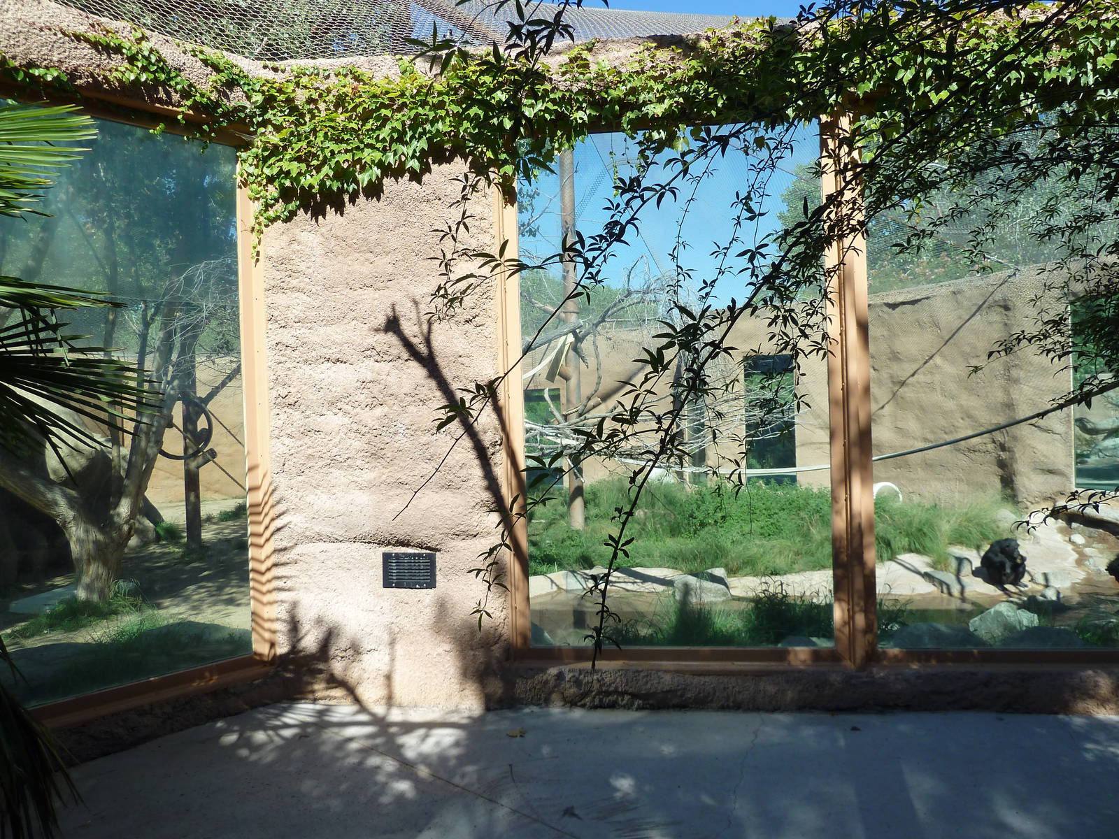 Adventure Africa - Chimpanzee Exhibit