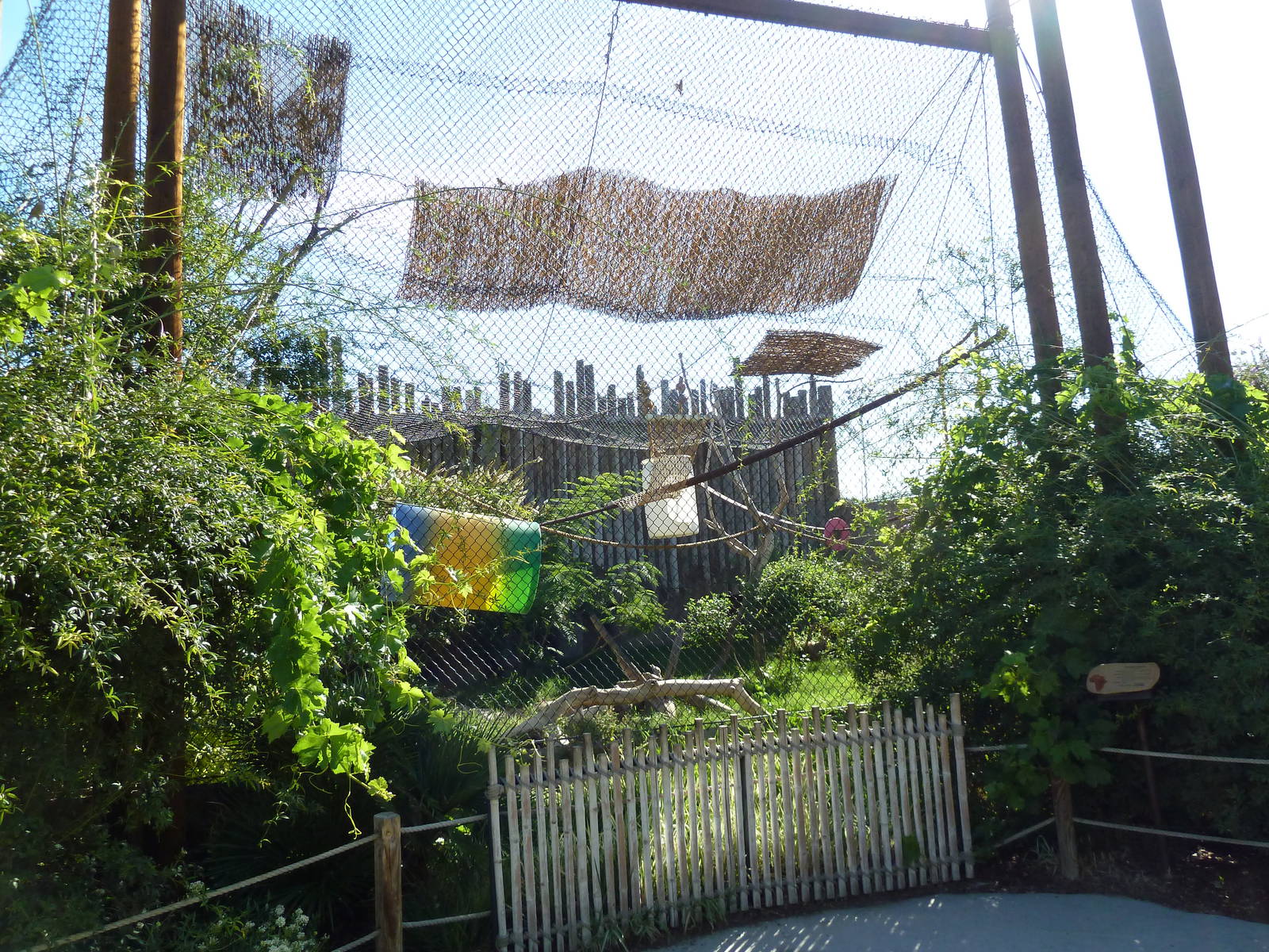 Adventure Africa - DeBrazza Guenon Exhibit