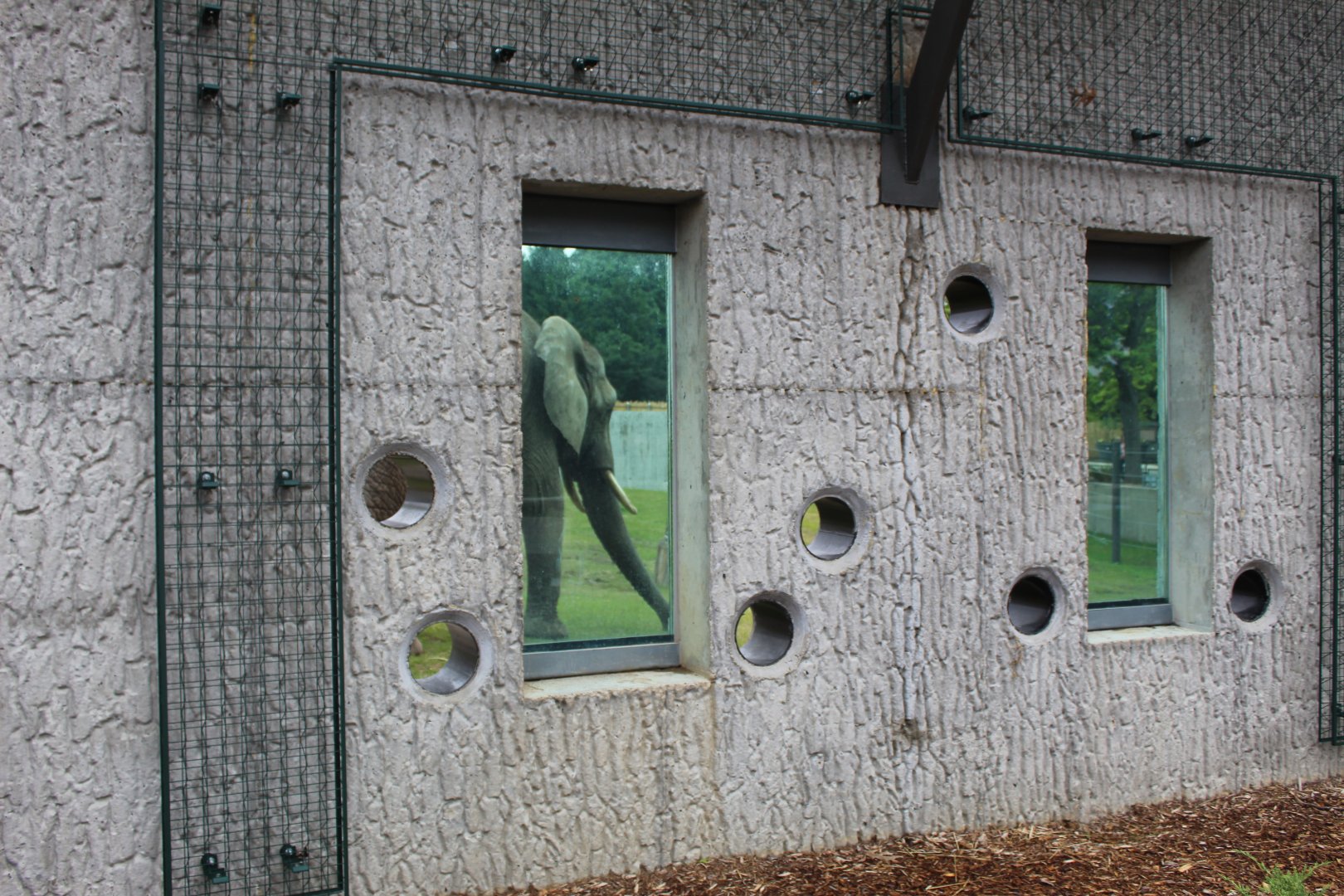 Adventure Africa - Elephant by the Glass