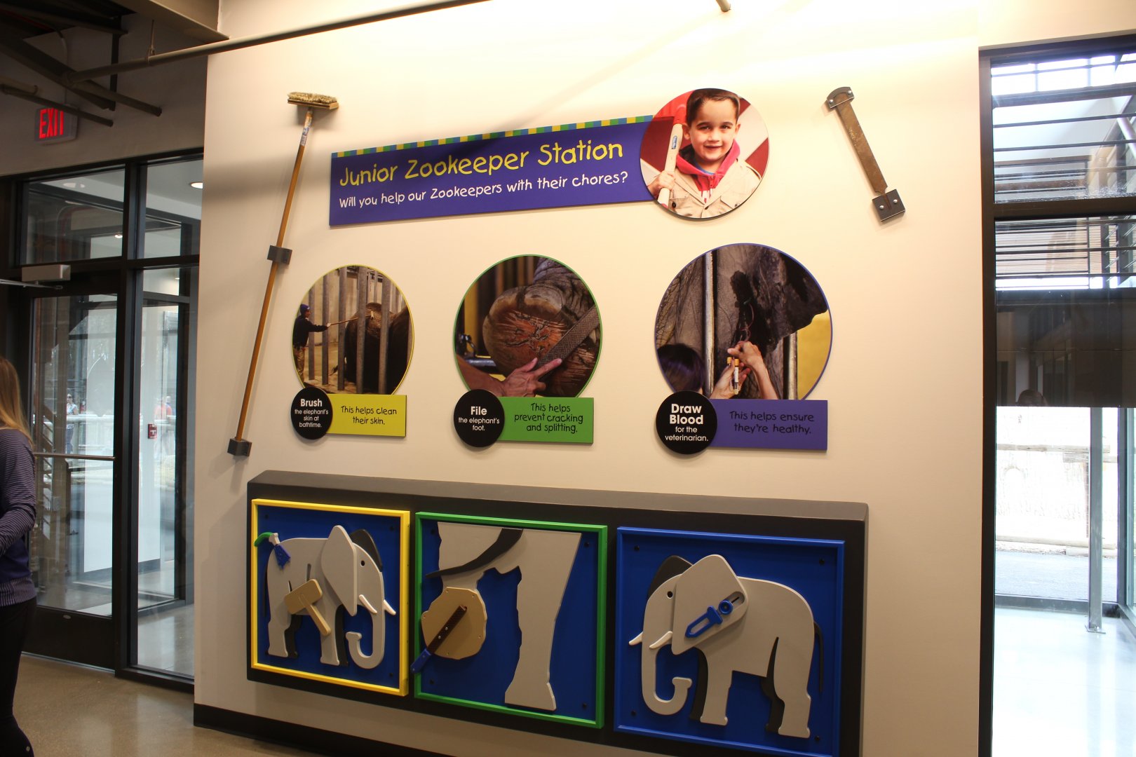 Adventure Africa - Elephant Care Center "Junior Zookeeper Station"