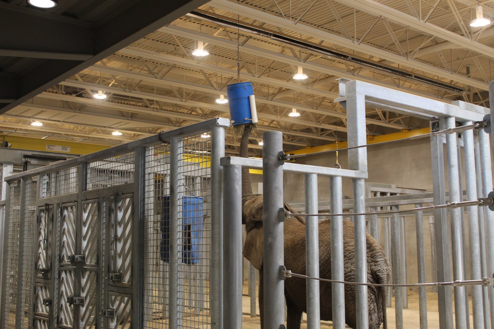 Adventure Africa - Elephant Care Center