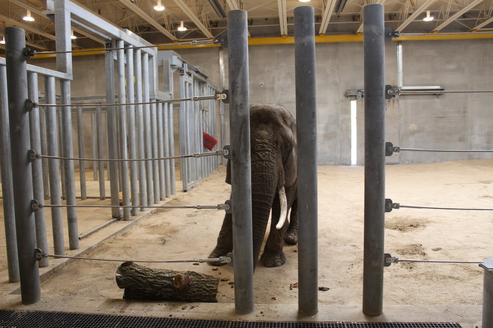 Adventure Africa - Elephant Care Center