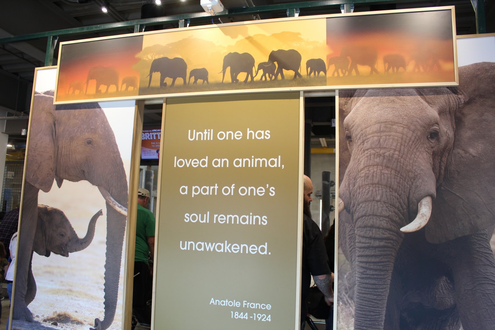 Adventure Africa - Elephant Care Center