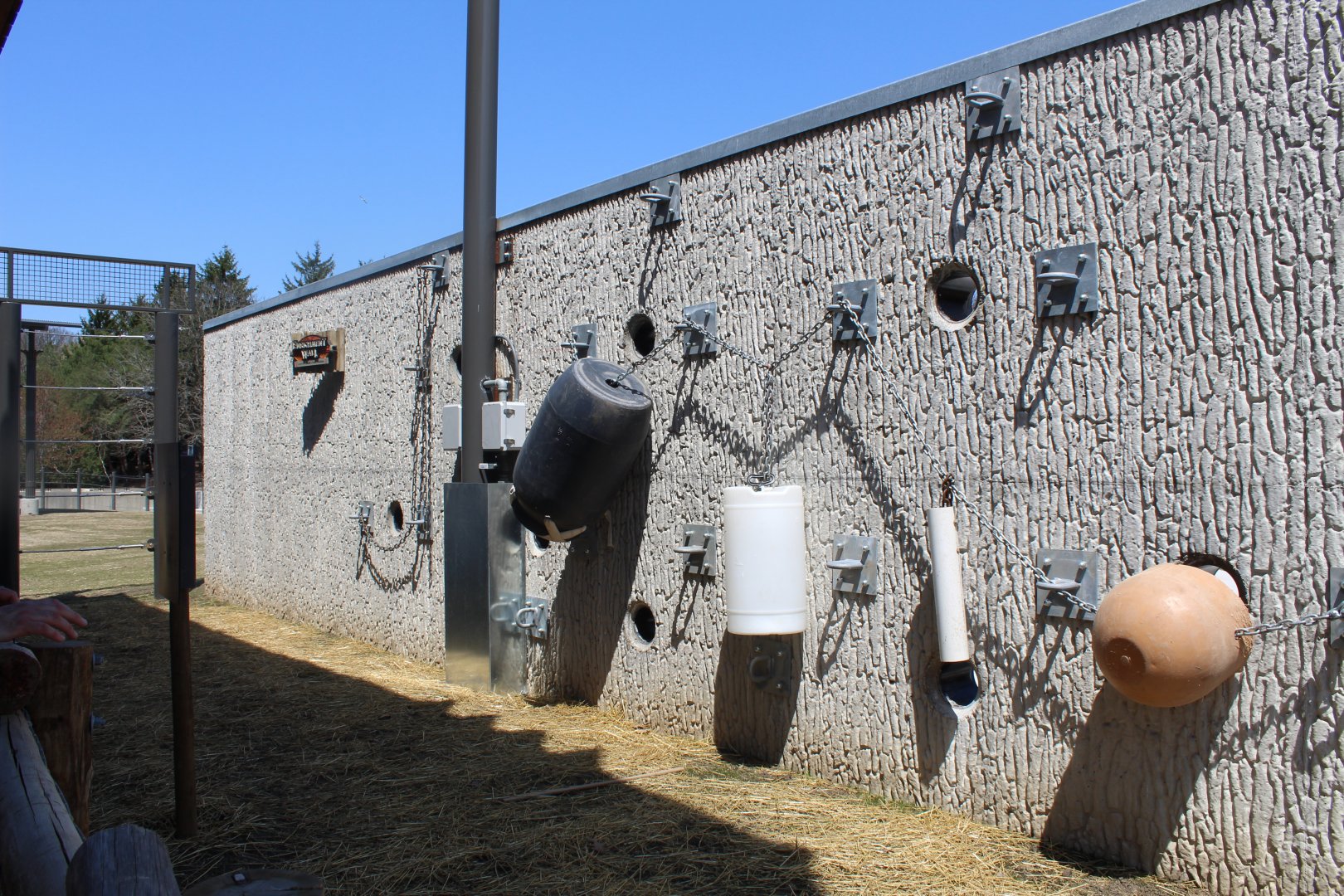 Adventure Africa - Elephant Enrichment Wall
