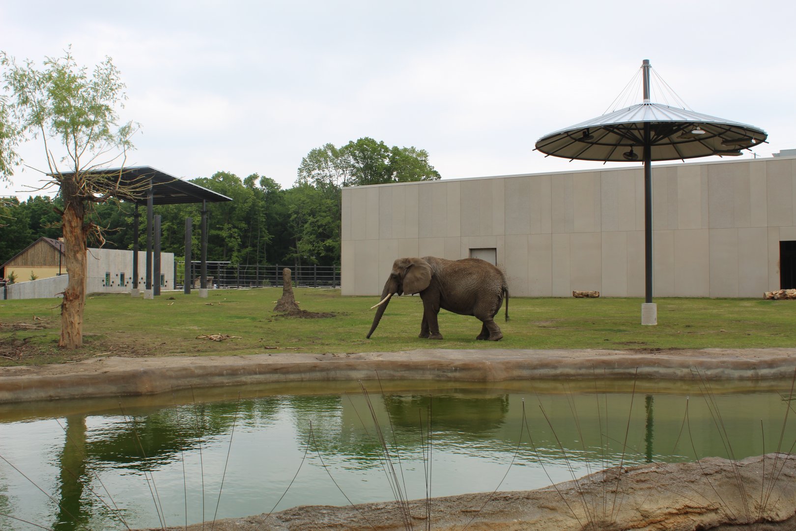 Adventure Africa - Elephant Yard