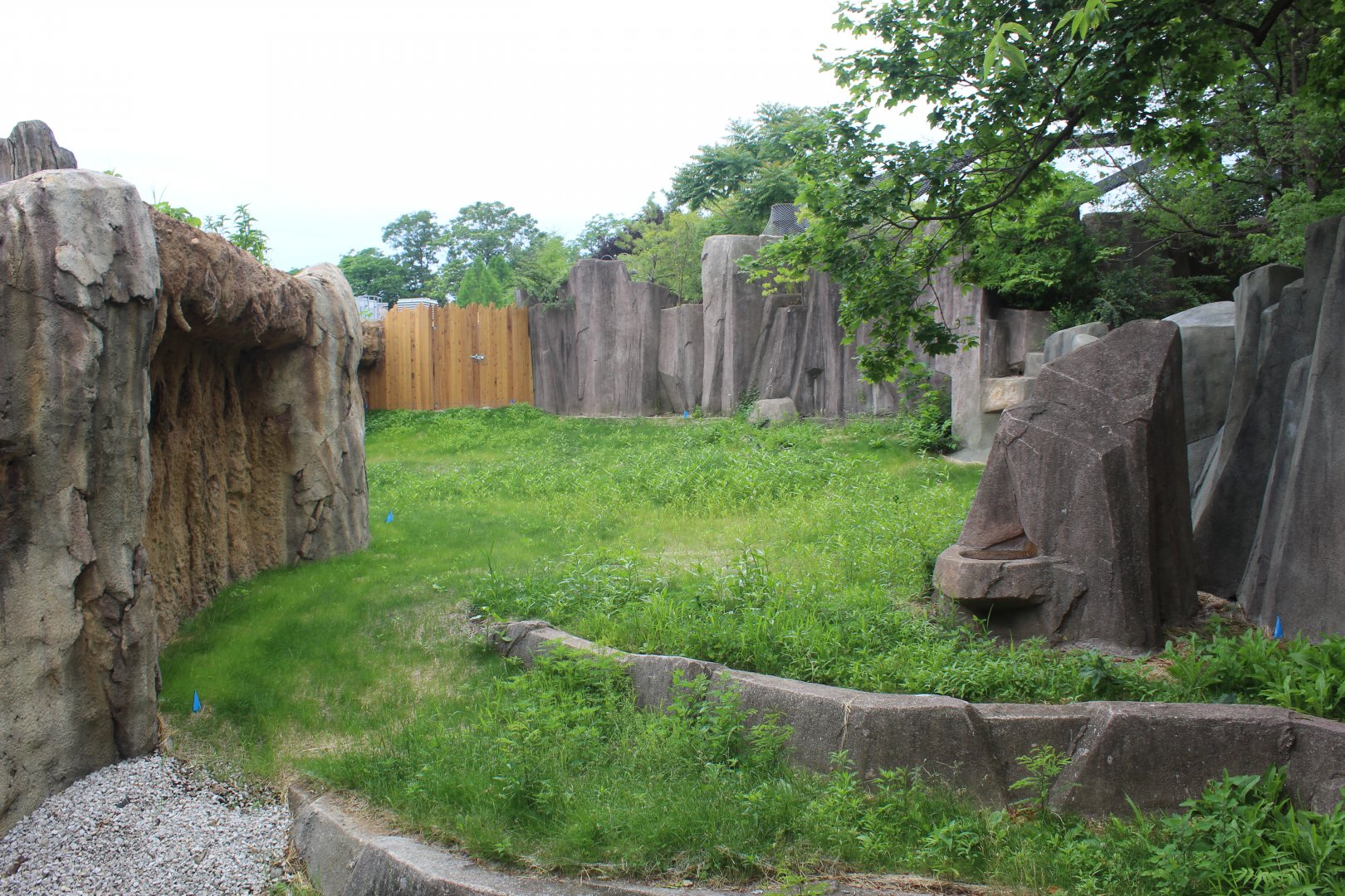 Adventure Africa - Former African Forest Exhibit (Empty Space?)
