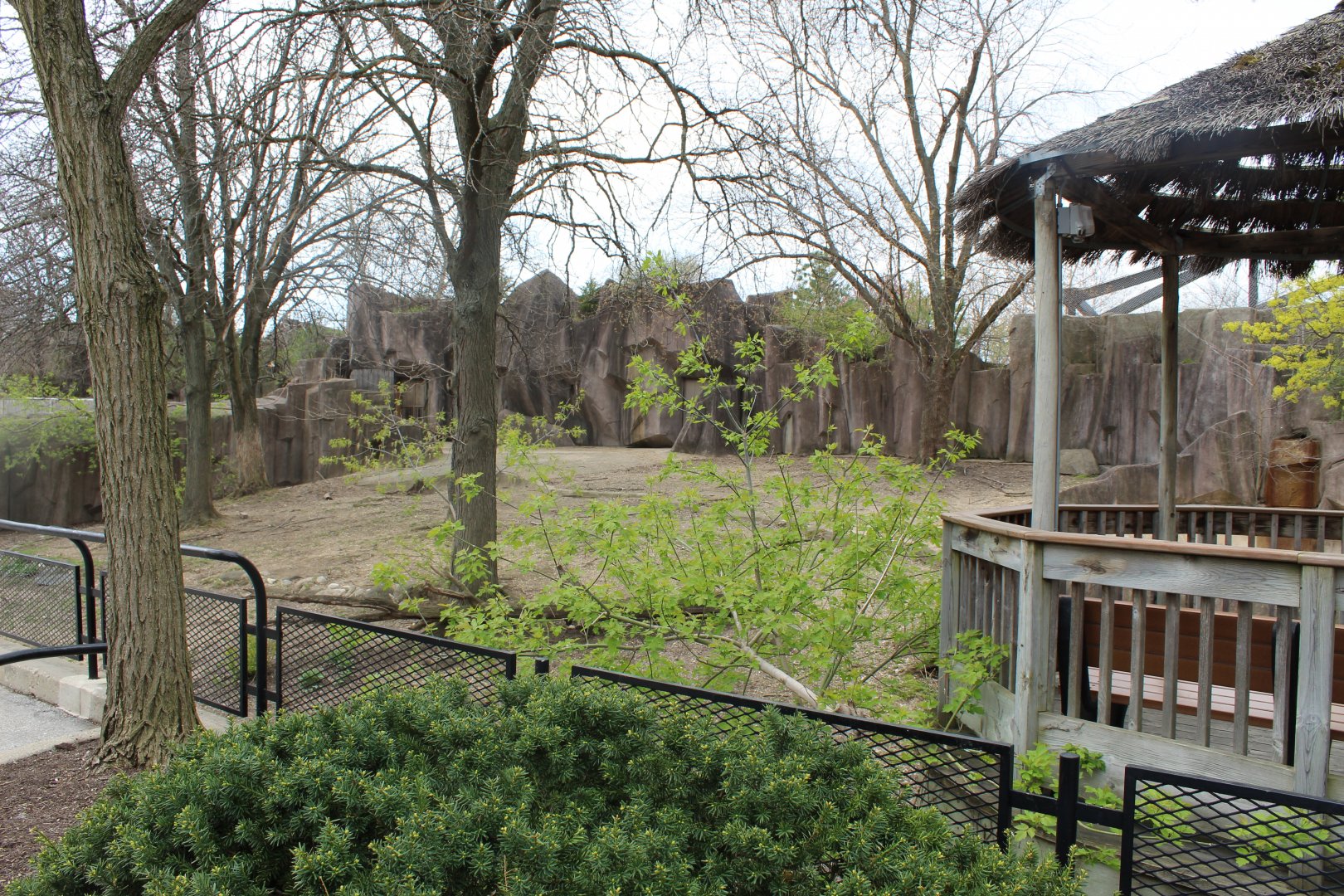 Adventure Africa - Former Bongo & Yellow-backed Duiker Exhibit