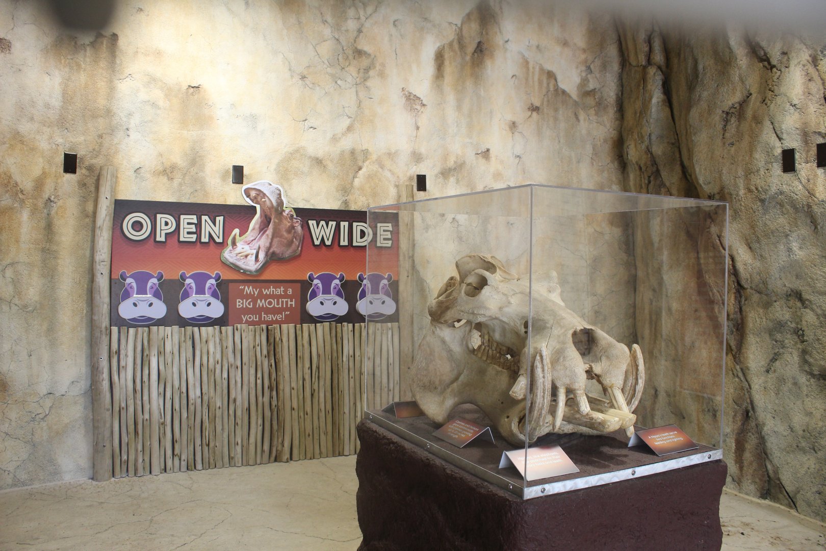 Adventure Africa - Hippo Education Area