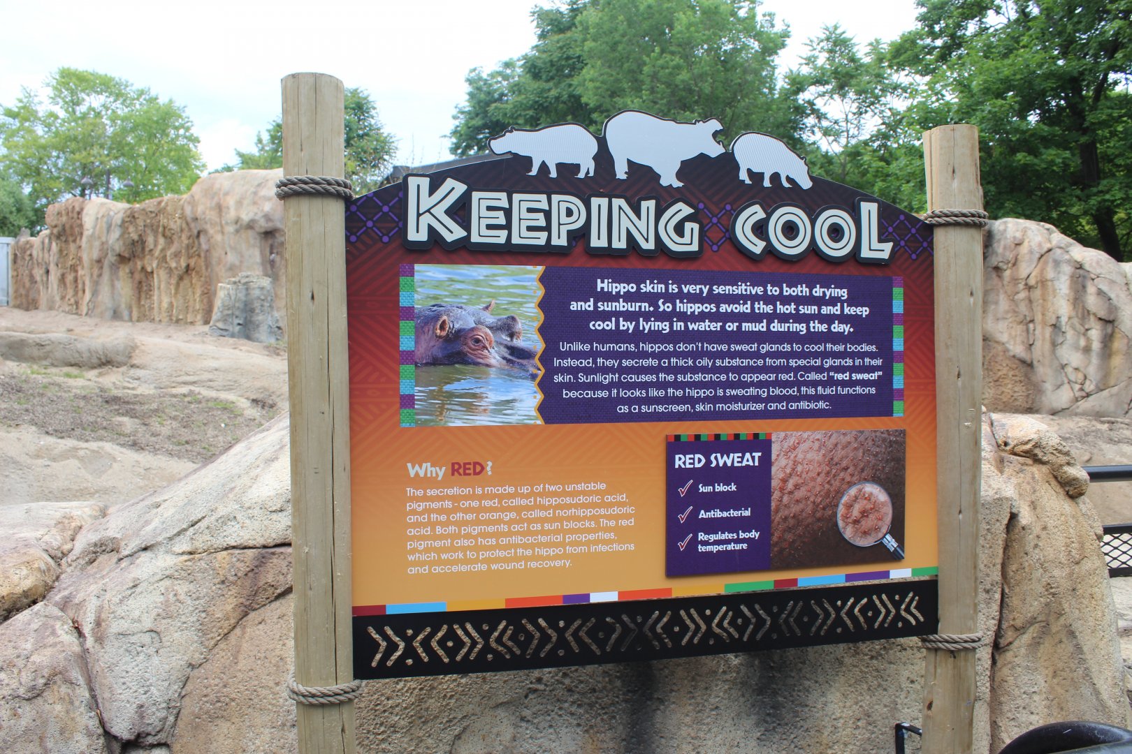 Adventure Africa - Hippo Sign