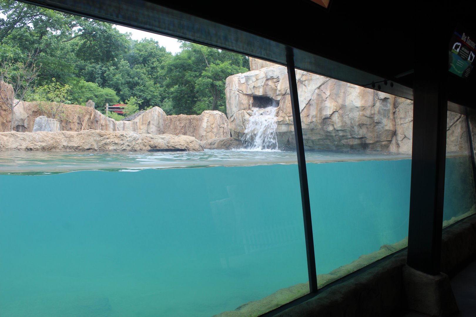 Adventure Africa - Hippo Underwater Viewing